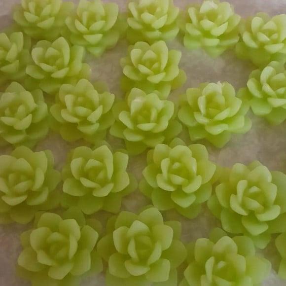 Sabonetes Mini Suculentas Avulsas