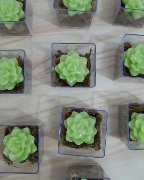 Sabonetes Mini Suculentas na Caixa de Acrílico