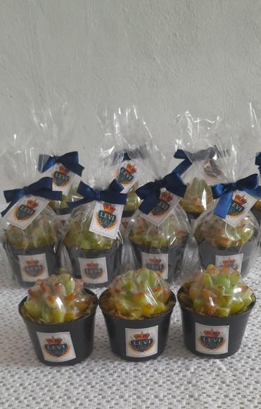 Vaso Sabonete Suculenta Média