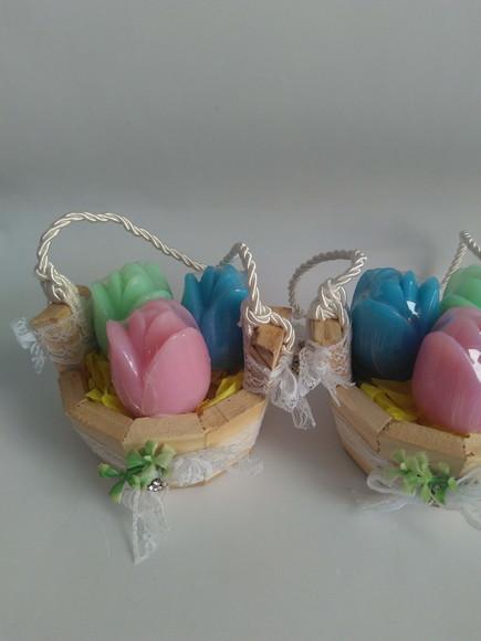 Tulipas na Tina Baby