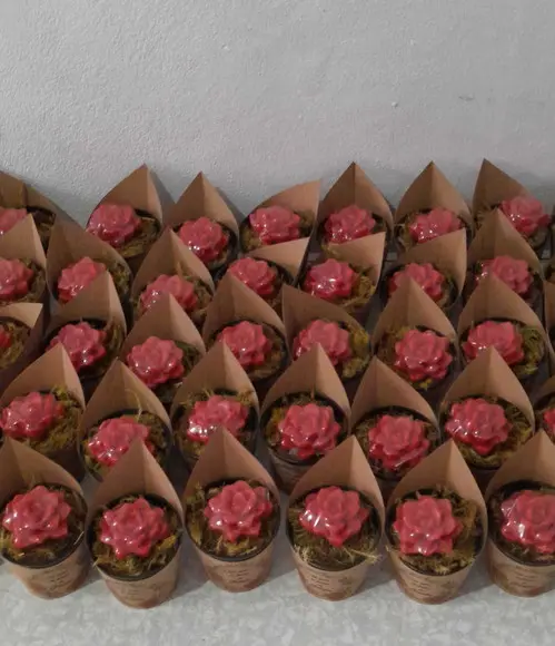 Kit de 100 Sabonetes Mini Suculentas Arranjo
