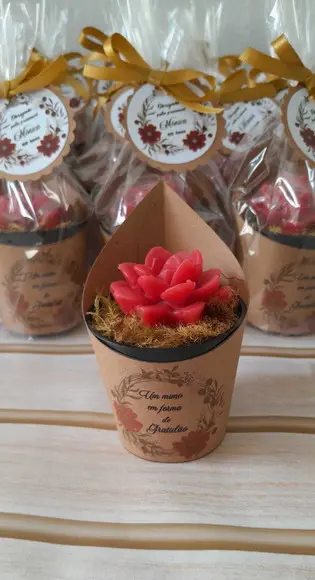 Kit de 100 Sabonetes Mini Suculentas Arranjo