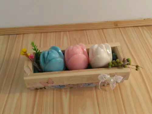 Kit tulipas perfumadas