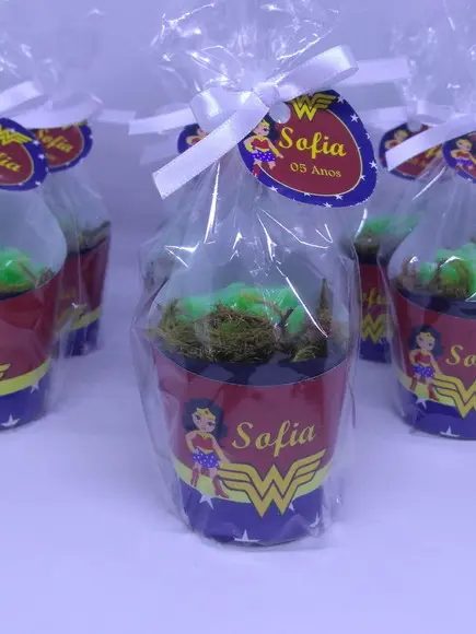 Sabonete Mini Suculenta Arranjo Tema Mulher Maravilha