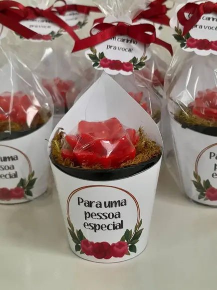 Sabonete Mini Suculentas Arranjo