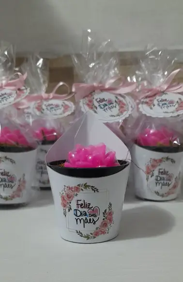 Sabonete Mini Suculentas Arranjo Dia das Mães