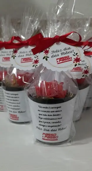 Sabonete Mini Suculentas Arranjo Dia das Mães