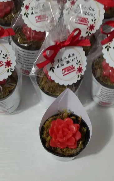 Sabonete Mini Suculentas Arranjo Dia das Mães