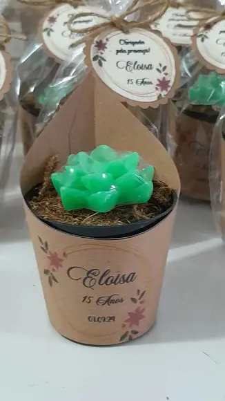 Sabonete Mini Suculentas Arranjo Lembrancinha 15 Anos