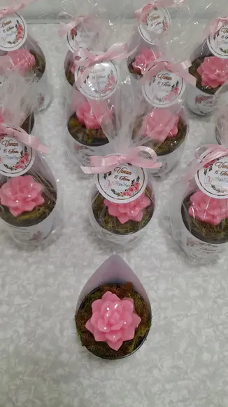 Sabonete Mini Suculentas Arranjo Lembrancinha 15 Anos