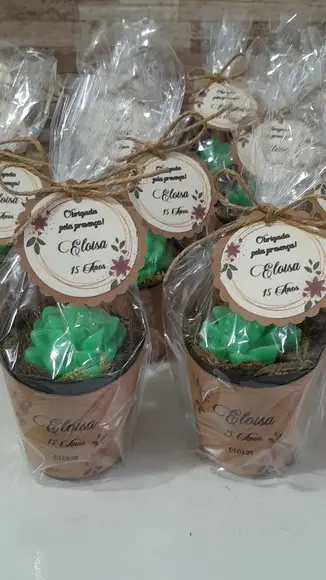 Sabonete Mini Suculentas Arranjo Lembrancinha 15 Anos