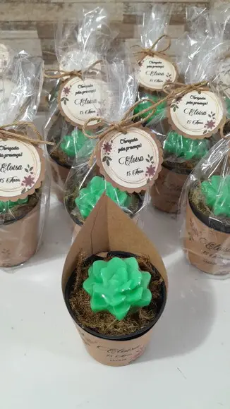 Sabonete Mini Suculentas Arranjo Lembrancinha 15 Anos