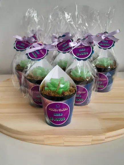 Sabonete Mini Suculentas Arranjo Lembrancinha 15 Anos