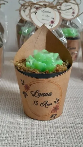 Sabonete Mini Suculentas Arranjo Lembrancinha 15 Anos