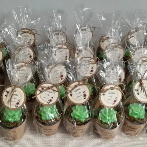 Sabonete Mini Suculentas Arranjo Lembrancinha 15 Anos