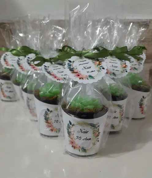 Sabonete Mini Suculentas Arranjo Lembrancinha 70 Anos