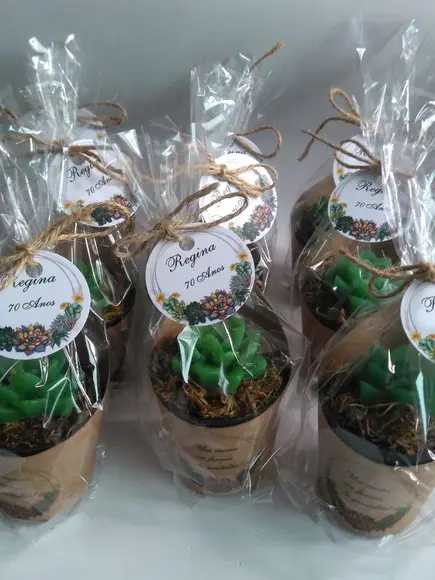 Sabonete Mini Suculentas Arranjo Lembrancinha 70 Anos