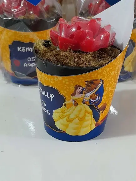 Sabonete Mini Suculentas Arranjo Lembrancinha Bela e a Fera
