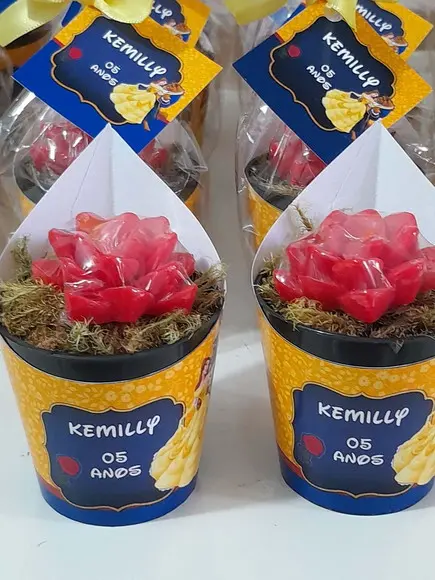 Sabonete Mini Suculentas Arranjo Lembrancinha Bela e a Fera