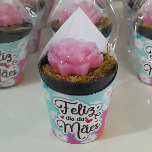 Sabonete Mini Suculentas Arranjo Lembrancinha Dia das Mães