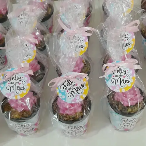 Sabonete Mini Suculentas Arranjo Lembrancinha Dia das Mães