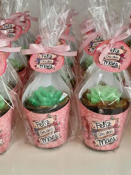 Sabonete Mini Suculentas Arranjo Lembrancinha Dia das Mães