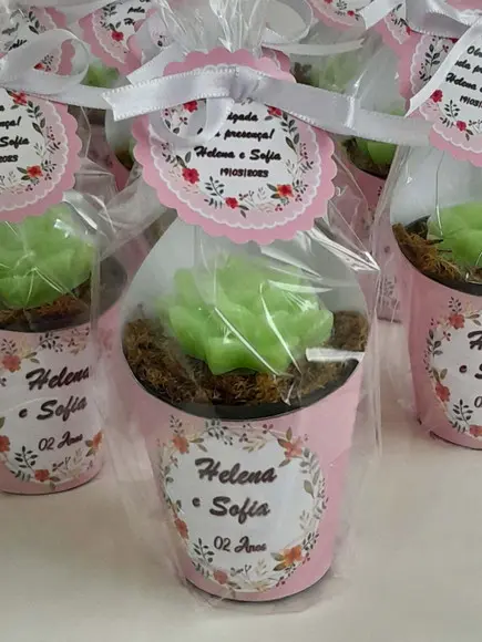 Sabonete Mini Suculentas Arranjo Lembrancinha Infantil