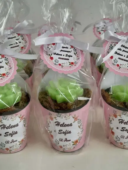 Sabonete Mini Suculentas Arranjo Lembrancinha Infantil