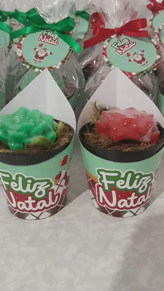 Sabonete Mini Suculentas Arranjo Lembrancinha Natal