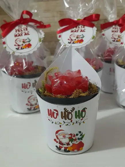 Sabonete Mini Suculentas Arranjo Lembrancinha Natal