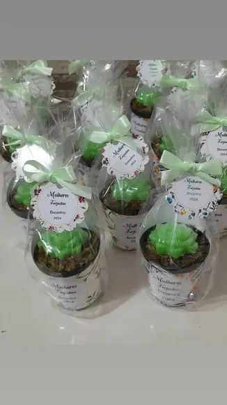 Sabonete Mini Suculentas Arranjo Lembrancinha Religiosa