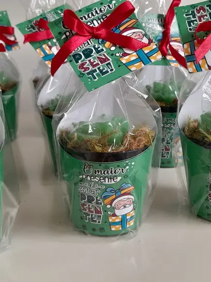 Sabonete Mini Suculentas Lembrancinha de Natal