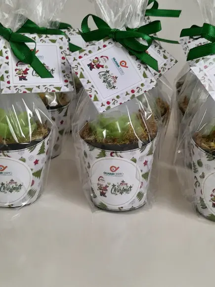 Sabonete Mini Suculentas Lembrancinha de Natal