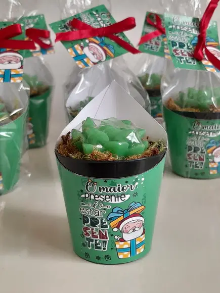 Sabonete Mini Suculentas Lembrancinha de Natal