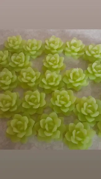 Sabonete Mini Suculentas no Saquinho de Organza