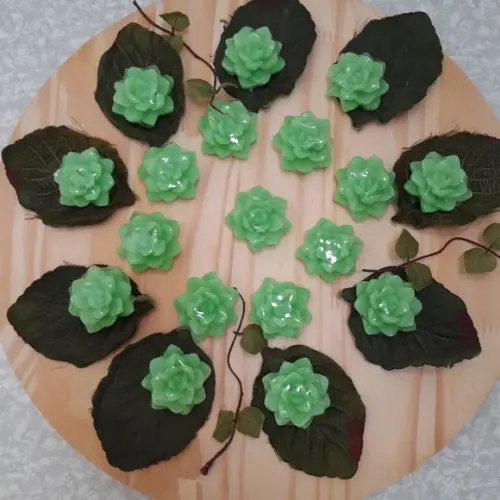 Sabonetes Mini Suculentas Avulsas