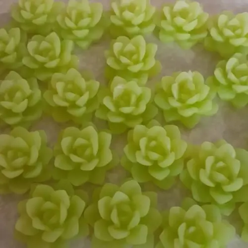 Sabonetes Mini Suculentas Avulsas