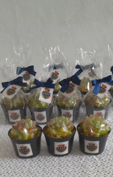 Vaso Sabonete Suculenta Média