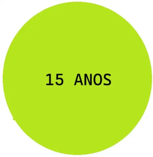 15 ANOS