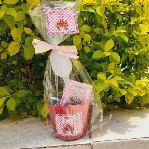 40 Kit Jardinagem Lembrancinha Ecológica
