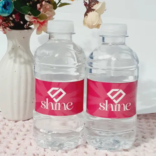 60 Garrafinhas de Água Mineral 240ml