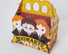 Caixa Presente Harry Potter