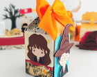 Caixa Milk Harry Potter