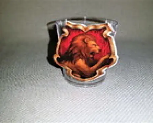 Copinho de Acrilico Harry Potter