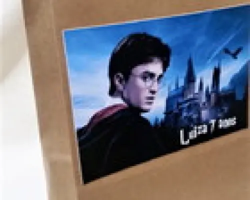 Sacolinha Kraft Harry Potter