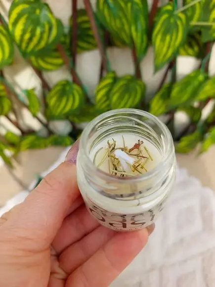 Vela 40 ml para Eventos Corporativos