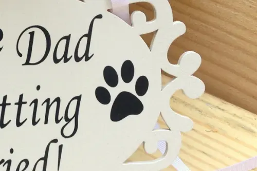 PLACA DE CASAMENTO PARA PET