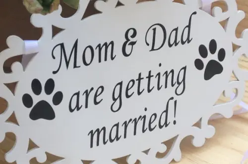 PLACA DE CASAMENTO PARA PET