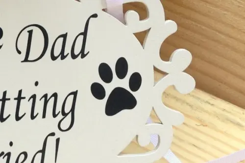 PLACA DE CASAMENTO PARA PET