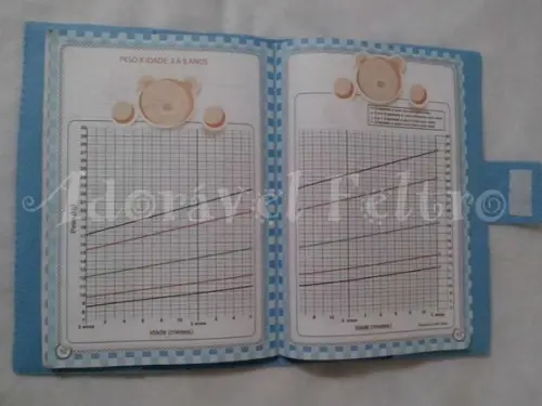 Capa Carteira Vacinas Galinha Pintadinha